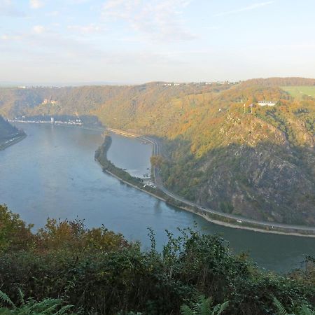 Roosartige Ferien - Ferienwohnung Am Weiherturm Bacharach Buitenkant foto