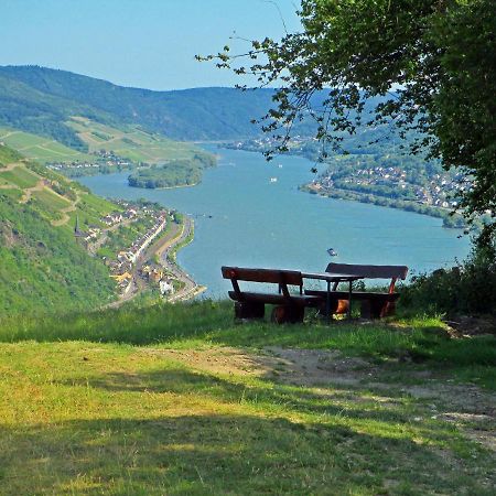 Roosartige Ferien - Ferienwohnung Am Weiherturm Bacharach Buitenkant foto