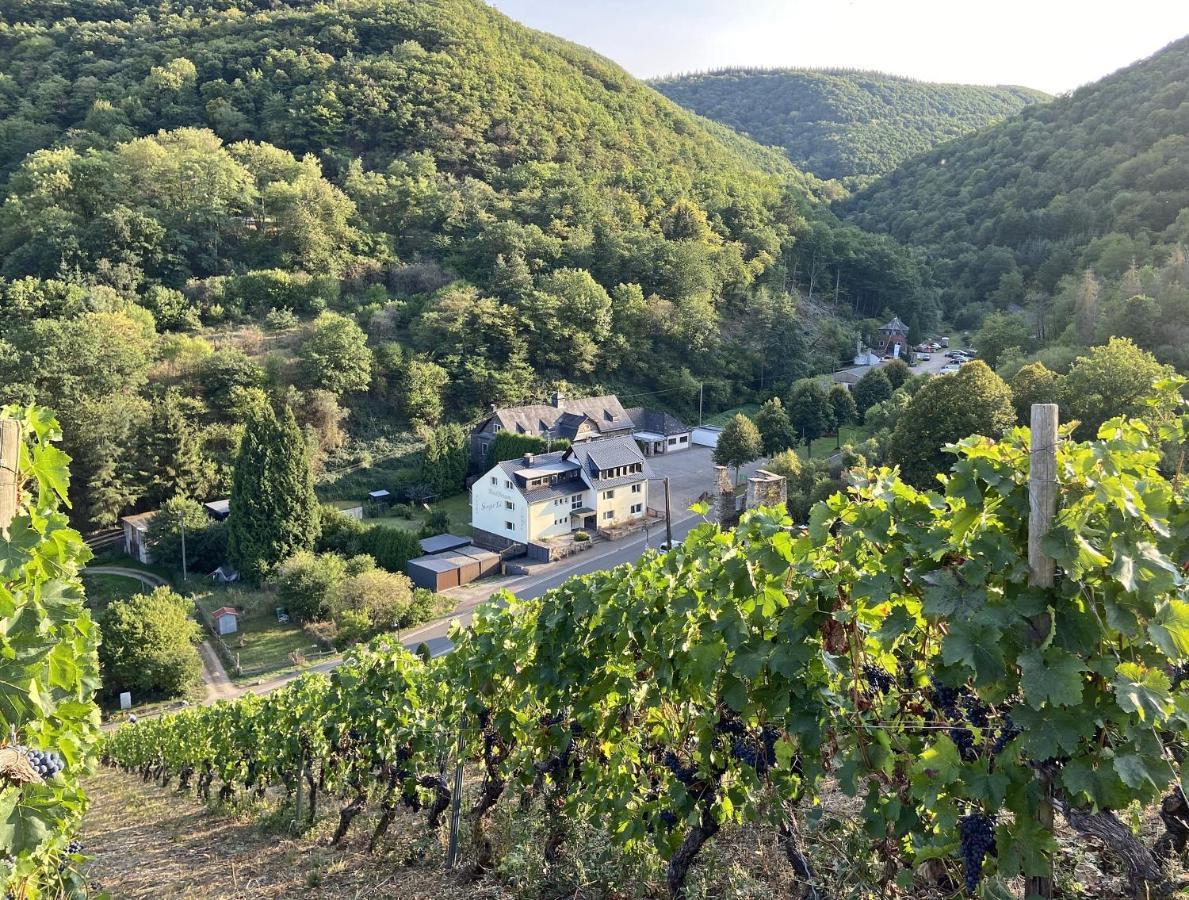 Roosartige Ferien - Ferienwohnung Am Weiherturm Bacharach Buitenkant foto