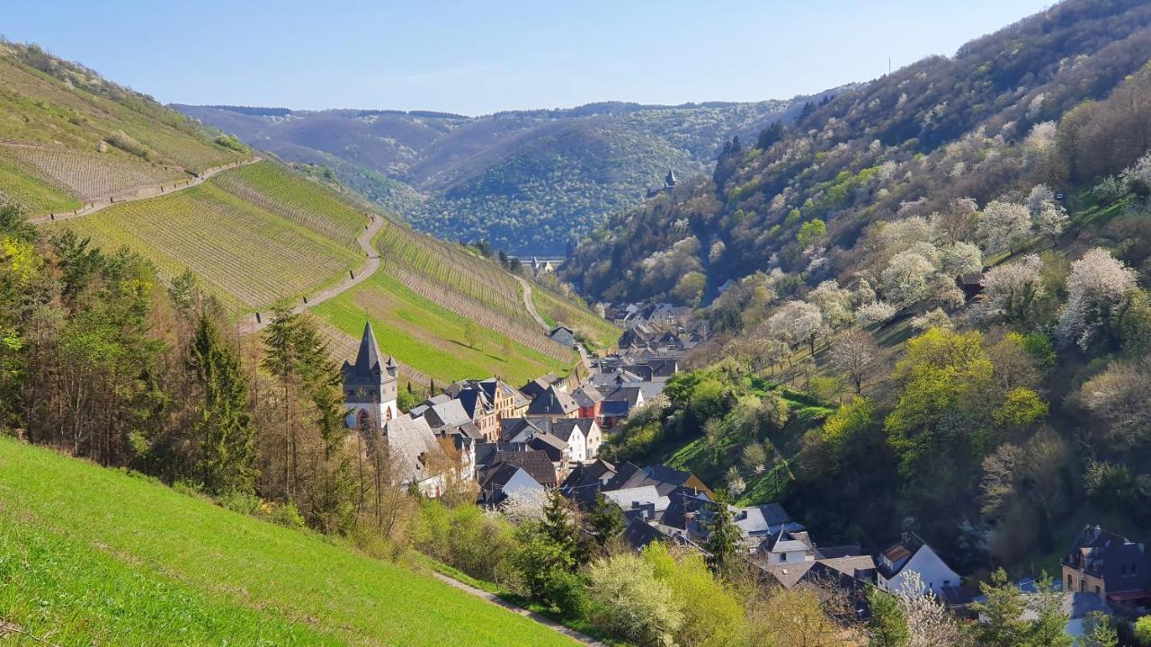 Roosartige Ferien - Ferienwohnung Am Weiherturm Bacharach Buitenkant foto